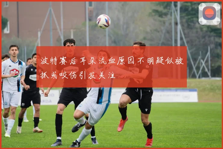 波特赛后耳朵流血原因不明疑似被抓或咬伤引发关注