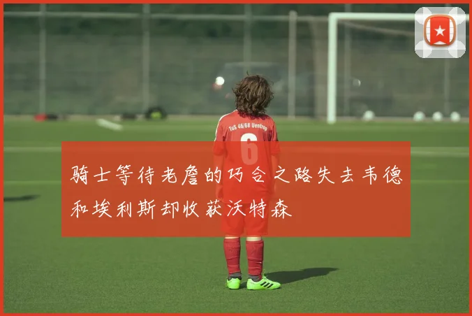 骑士等待老詹的巧合之路失去韦德和埃利斯却收获沃特森