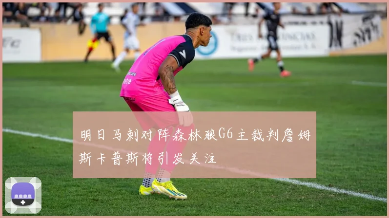 明日马刺对阵森林狼G6主裁判詹姆斯卡普斯将引发关注